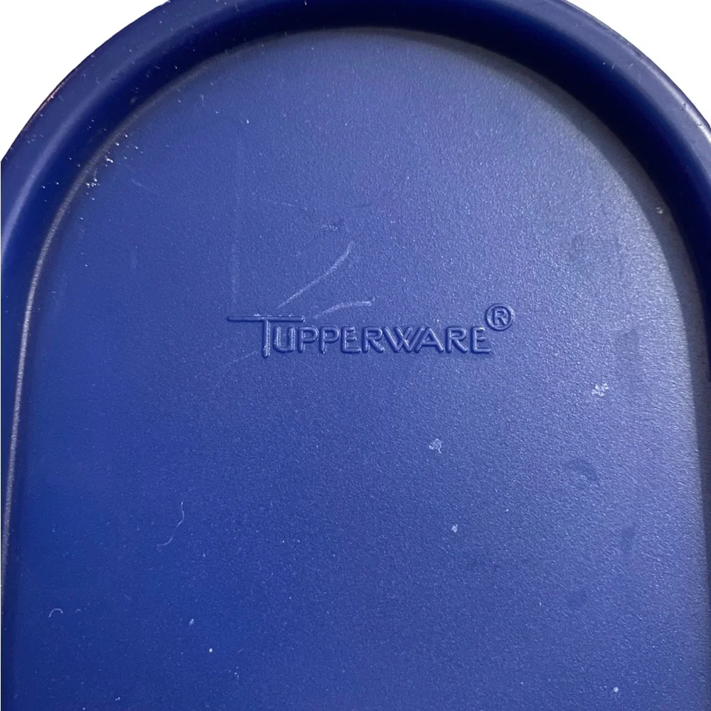 Tupperware Modular Mates Oval Storage Containers W/Blue Lids Set Of 2(#4 & 5)